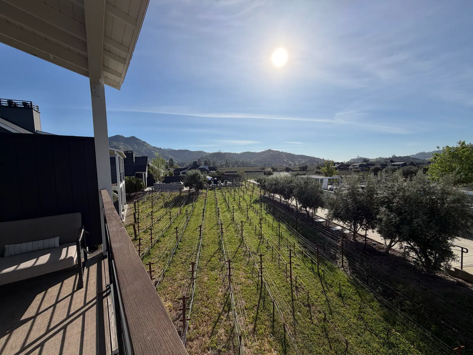 A balcony view over a vineyard with hills and homes under a bright sun.