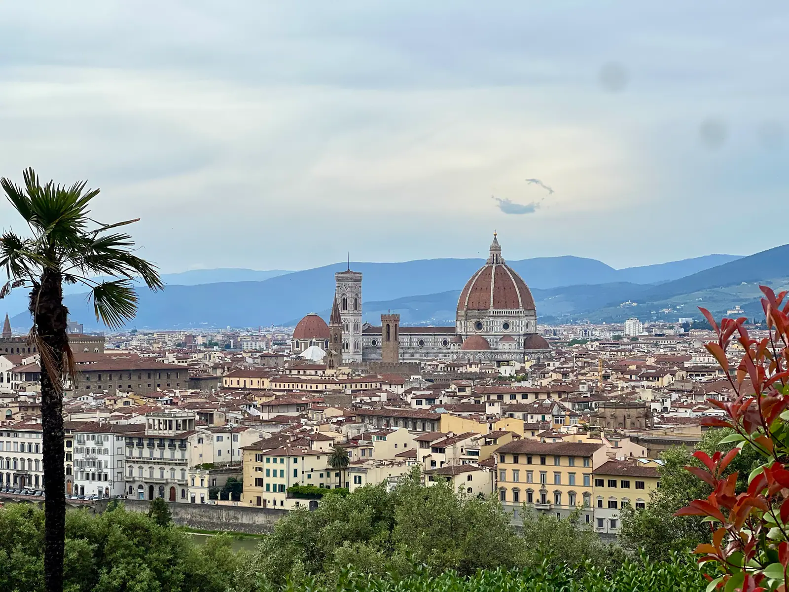 Florence skyline with the cathedral dome and bell tower above historic rooftops, framed by trees in the foreground.