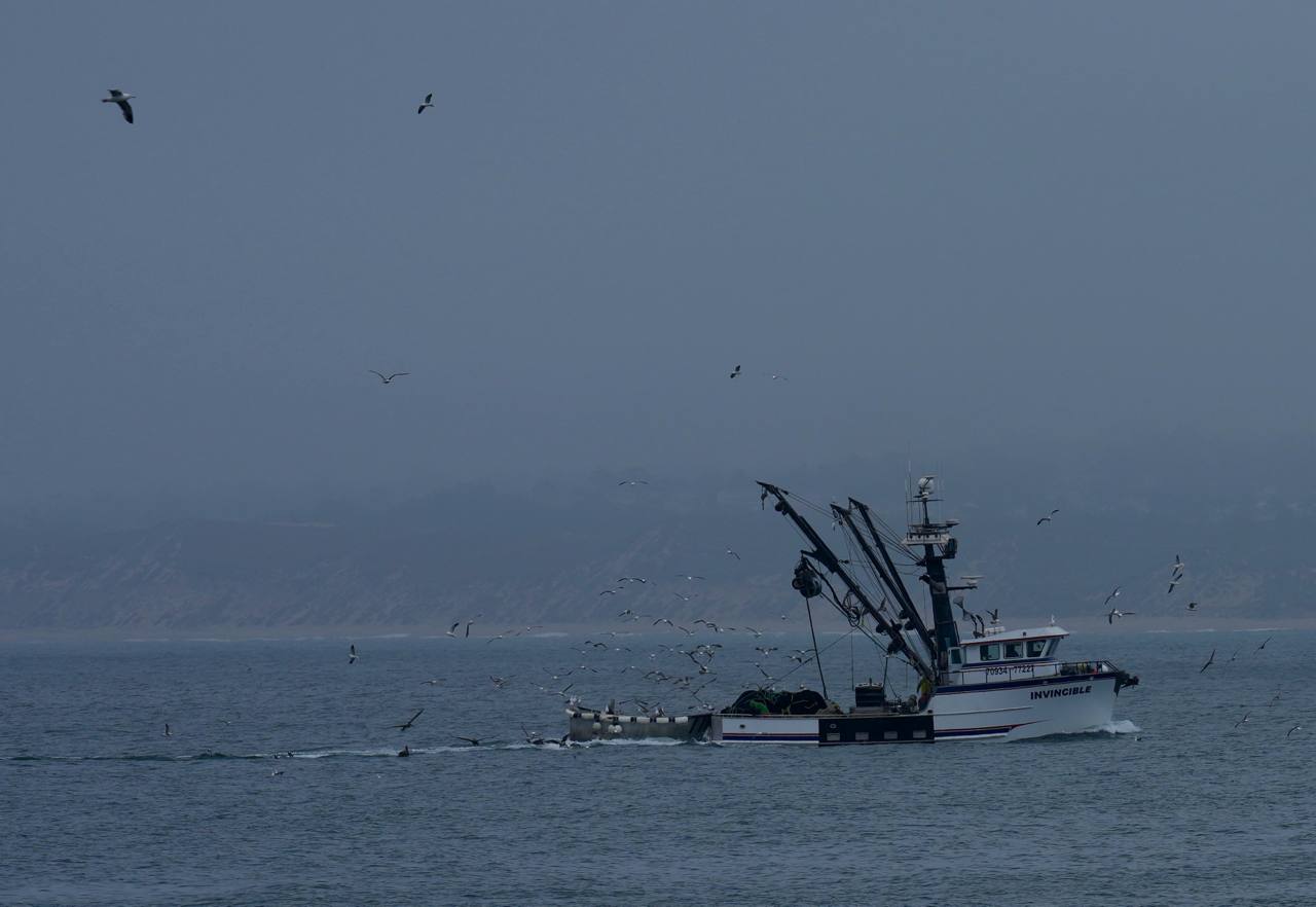 Fishing boat offshore in foggy blue light