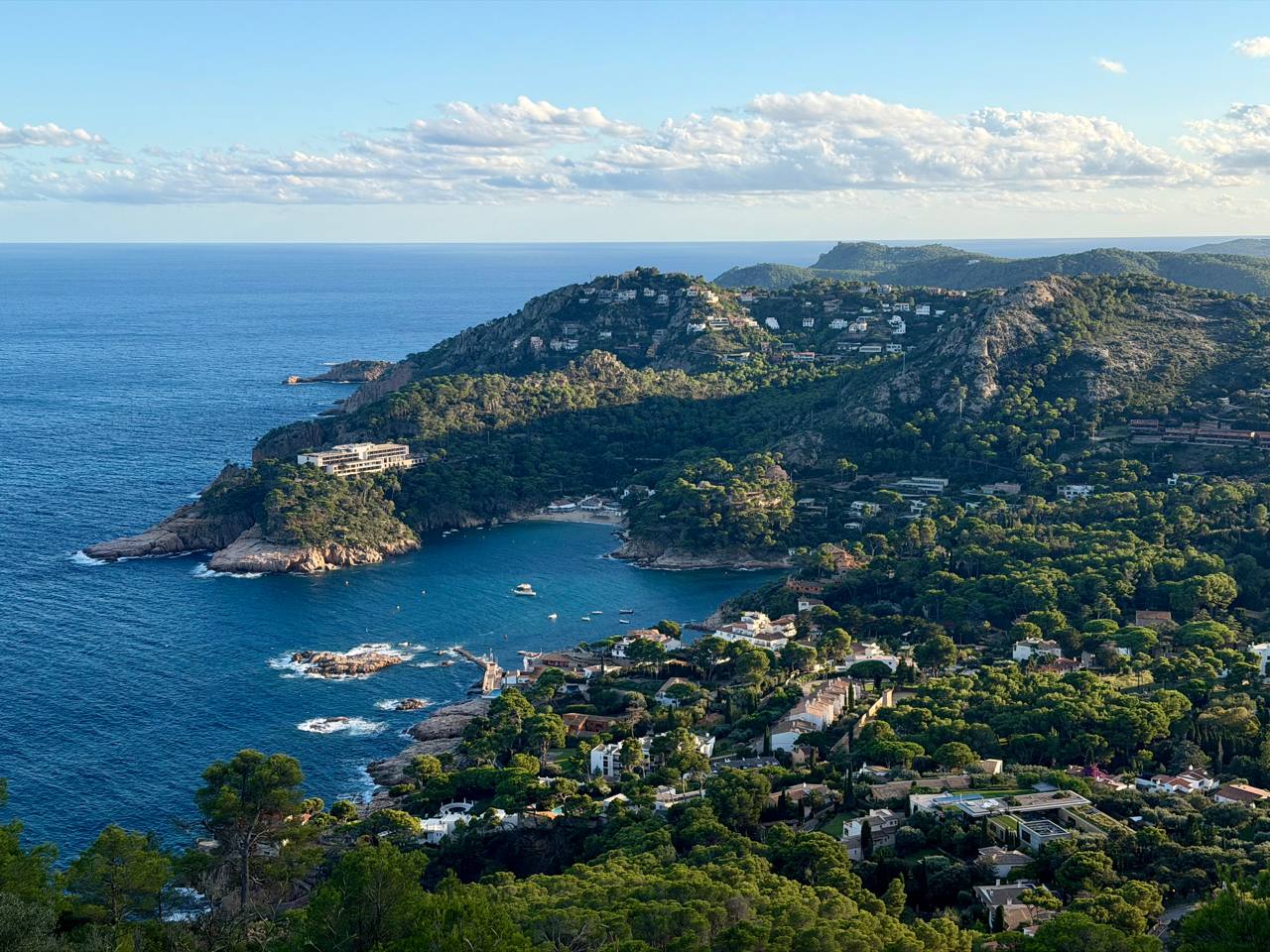 Mediterranean cove and wooded hillside in late light